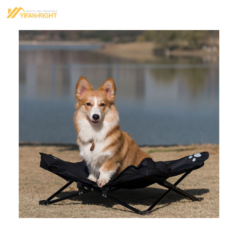 Camping Pet Bed