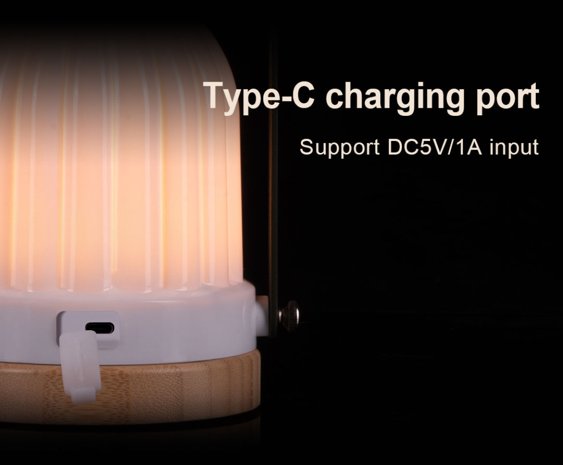 type C charging port